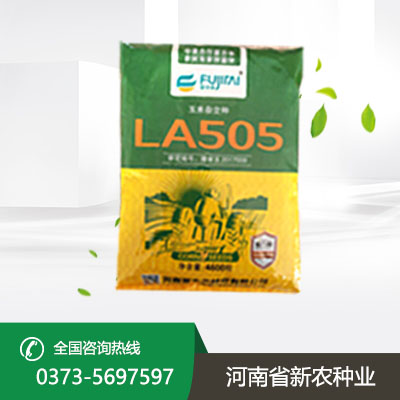 陕西LA505玉米种