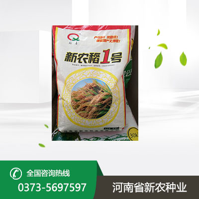 陕西水稻种子