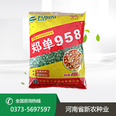 陕西玉米种子高产品种