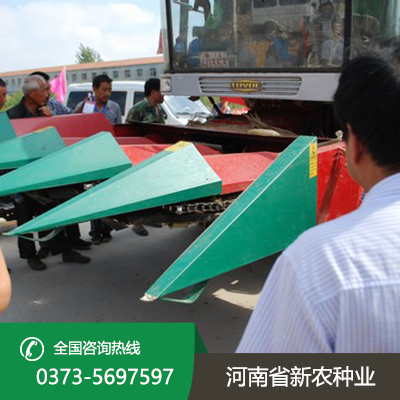 陕西高产稳产玉米种子