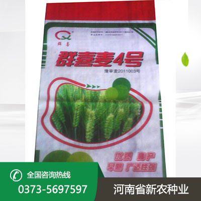 陕西群喜麦4号