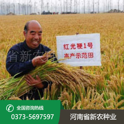 陕西水稻种