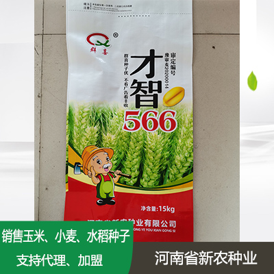 陕西小麦种子加盟