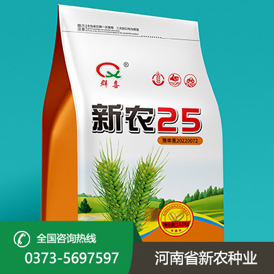 陕西大量批发小麦种子